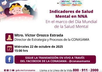 Seminario web denominado: “Indicadores de Salud Mental en NNA”