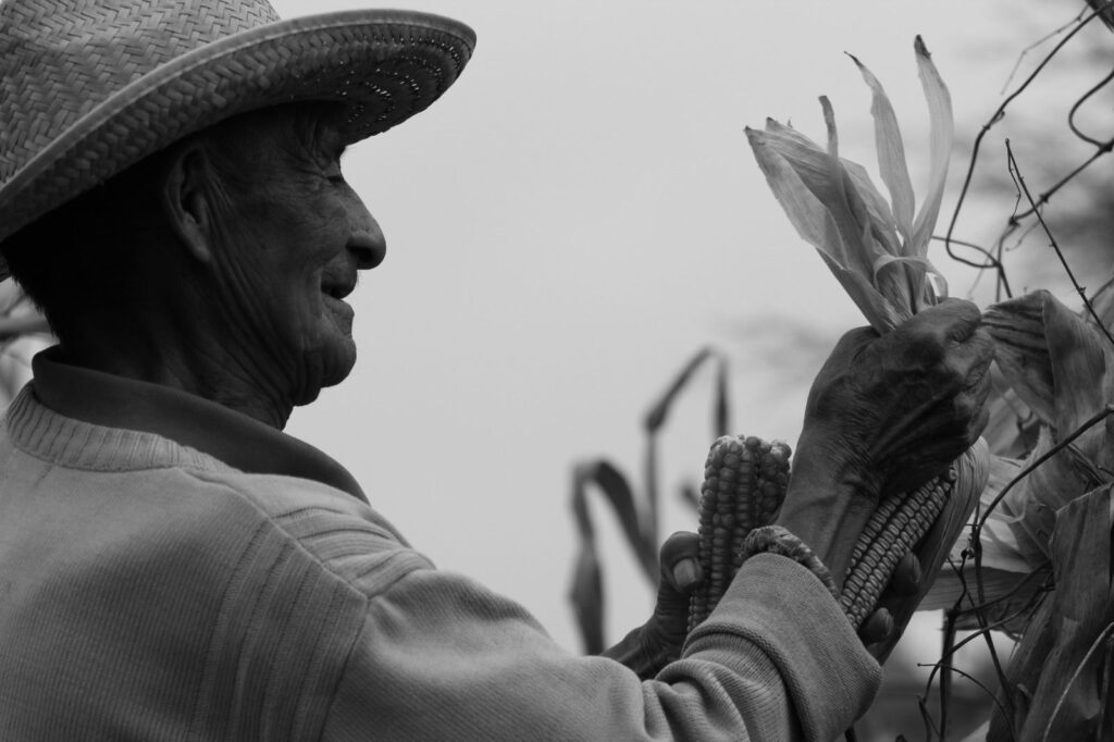 PATRICIA LÓPEZ DÍAZ