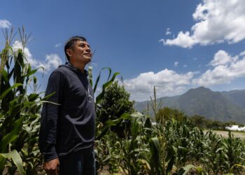 “Ya me siento seguro al hacer mis negocios”: don Filiberto, una historia que transforma
